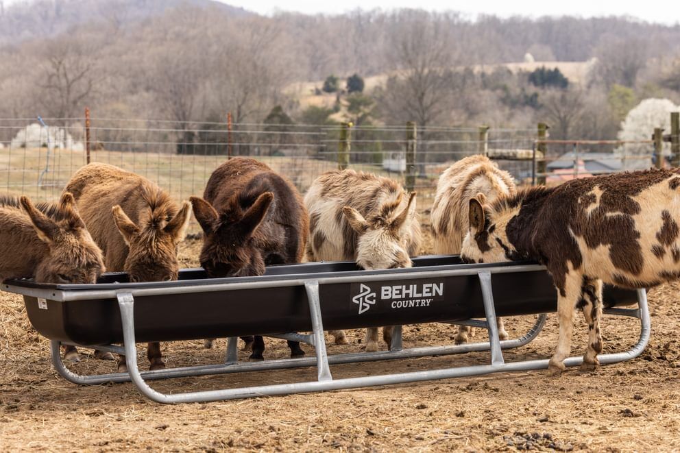 Behlen Country Stockman Black Galvanized Bunk Feeder, 10-Ft