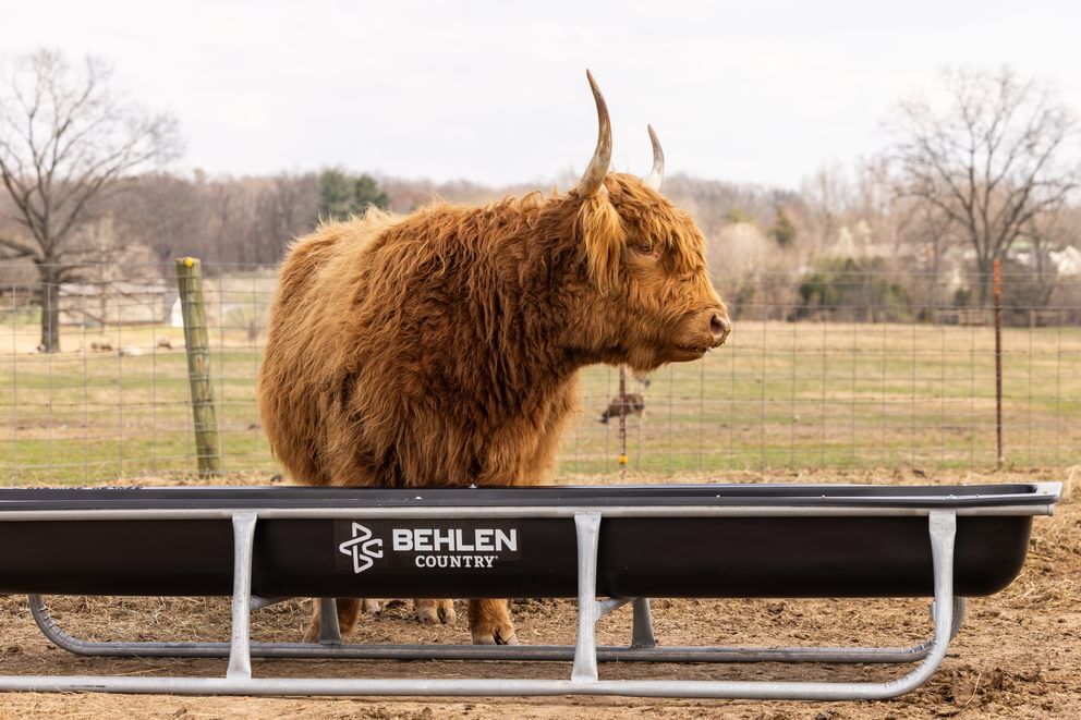 Behlen Country Stockman Black Galvanized Bunk Feeder, 10-Ft
