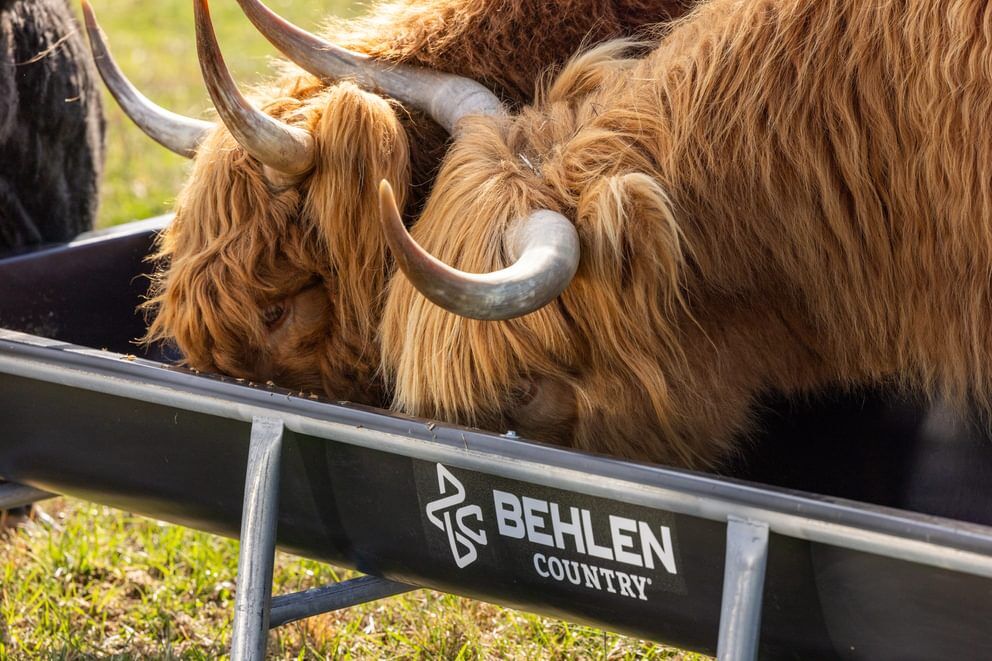 Behlen Country Stockman Black Galvanized Bunk Feeder, 10-Ft