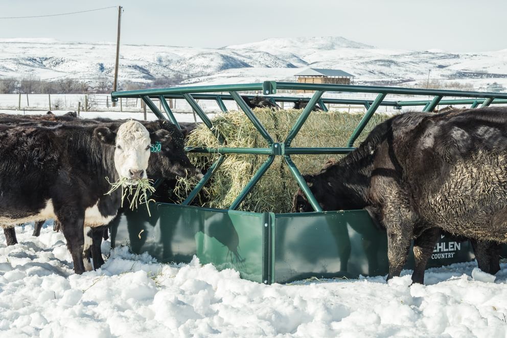 Behlen Country Green V-Smart Feeder, 6-Ft x 10-Ft