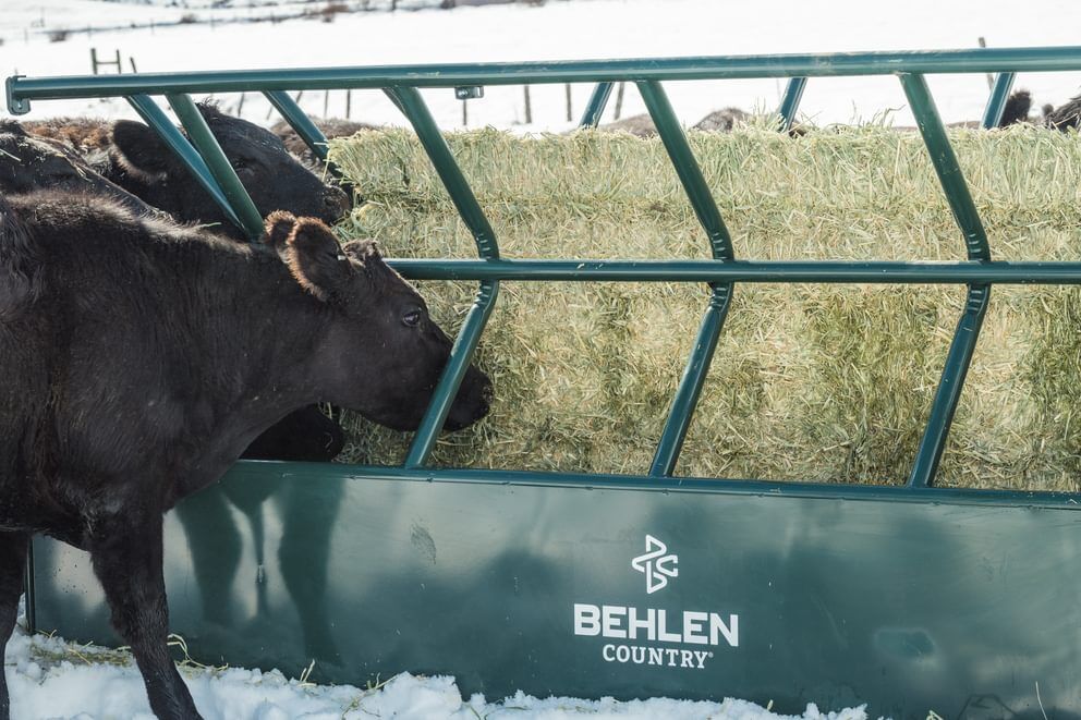 Behlen Country Green V-Smart Feeder, 6-Ft x 10-Ft