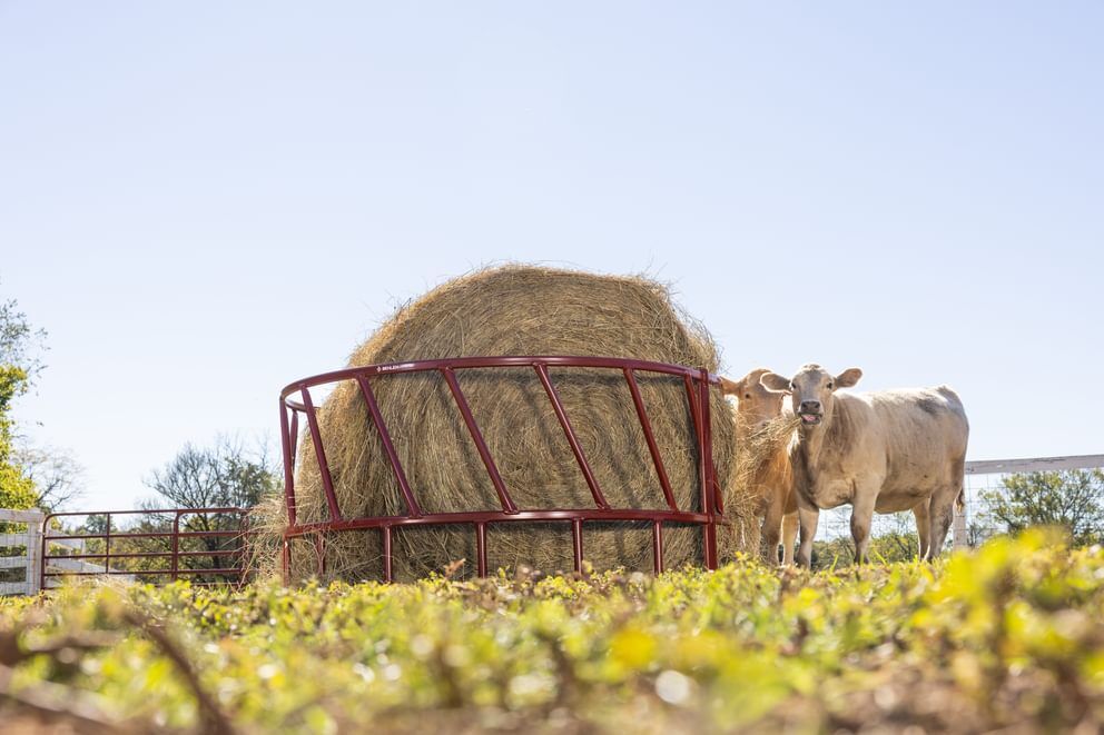 Behlen Country Green ProStock Feeder, 8-Ft