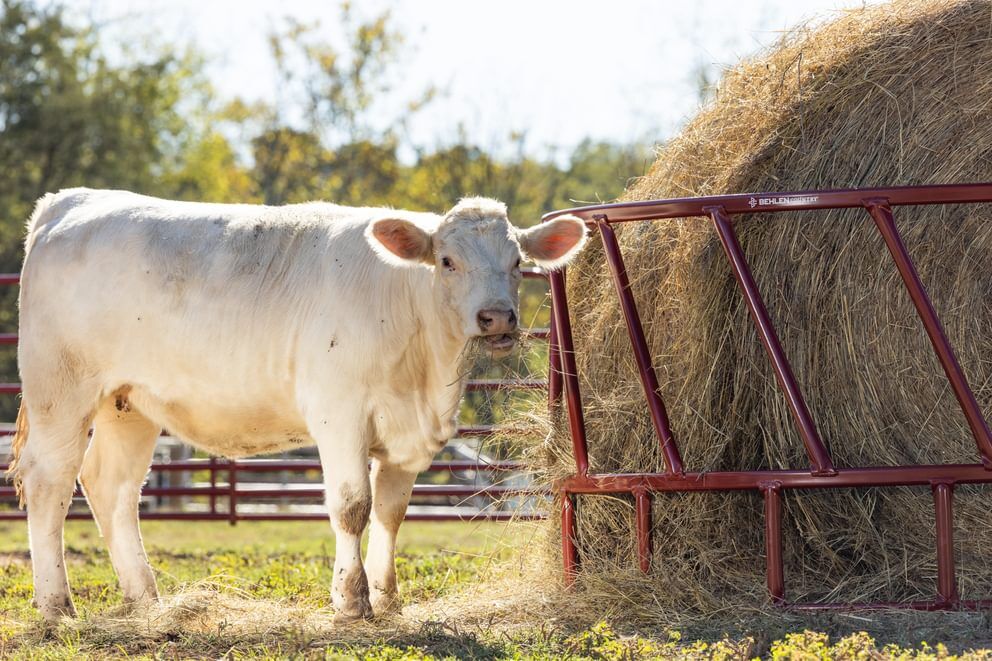 Behlen Country Green ProStock Feeder, 8-Ft