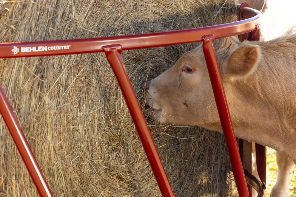 Behlen Country Green ProStock Feeder, 8-Ft