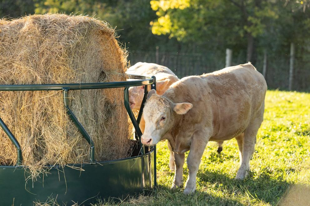 Behlen Country Green Hay Guard Round Bale Feeder, 8-Ft