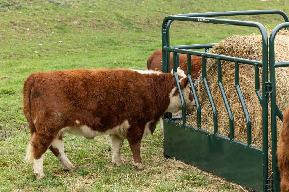 Behlen Country Green RangeMax Feeder Panel, 12-Ft x 66-In