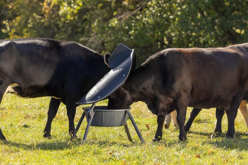 Behlen Country Gray AeroGuard Max Mineral Feeder