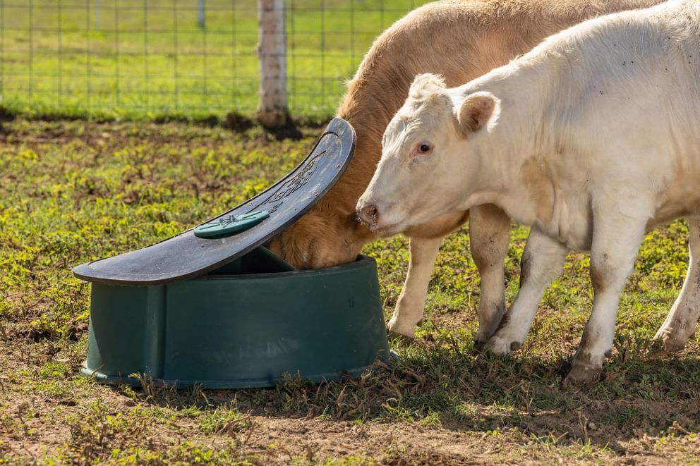 Behlen Country Green Big Valley Mineral Feeder