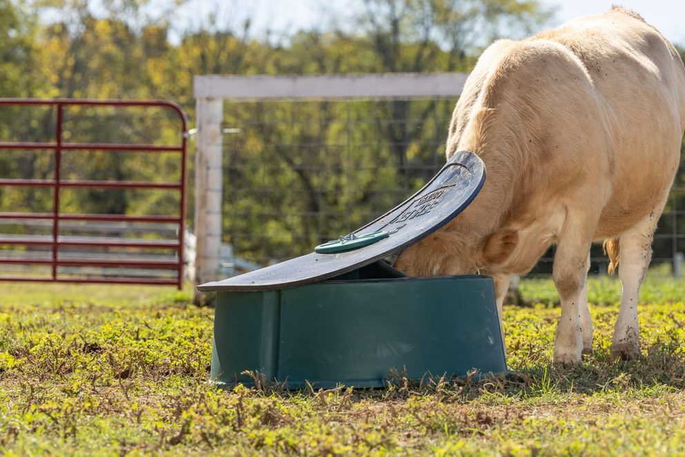 Behlen Country Green Big Valley Mineral Feeder