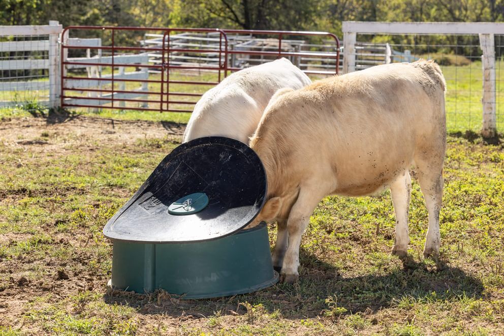 Behlen Country Green Big Valley Mineral Feeder