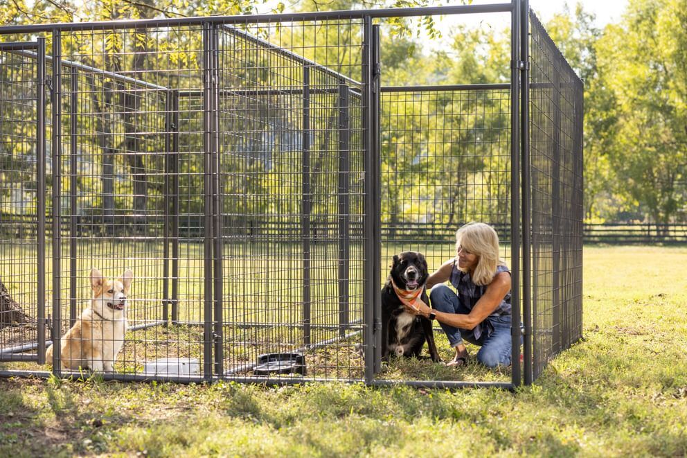 Behlen Country Gray Ruff Guard Kennel 1-Door Panel, 10-Ft x 6-Ft