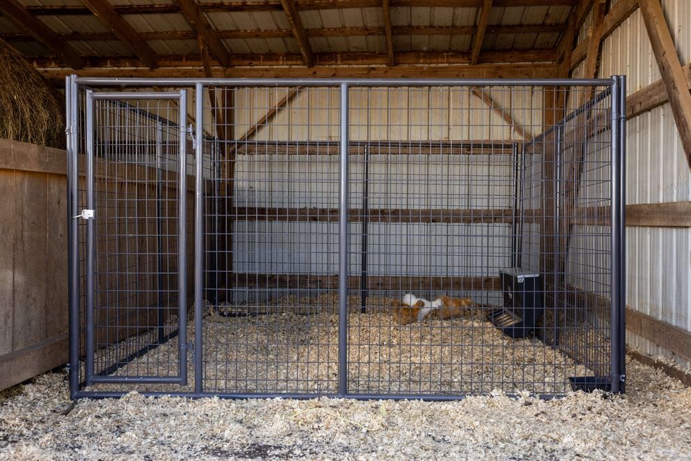 Behlen Country Gray Ruff Guard Kennel 1-Door Panel, 10-Ft x 6-Ft