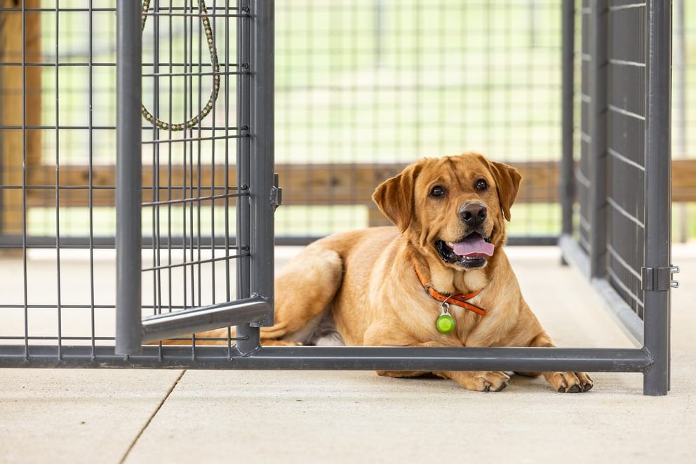 Behlen Country Gray Ruff Guard Kennel 1-Door Panel, 5-Ft x 6-Ft