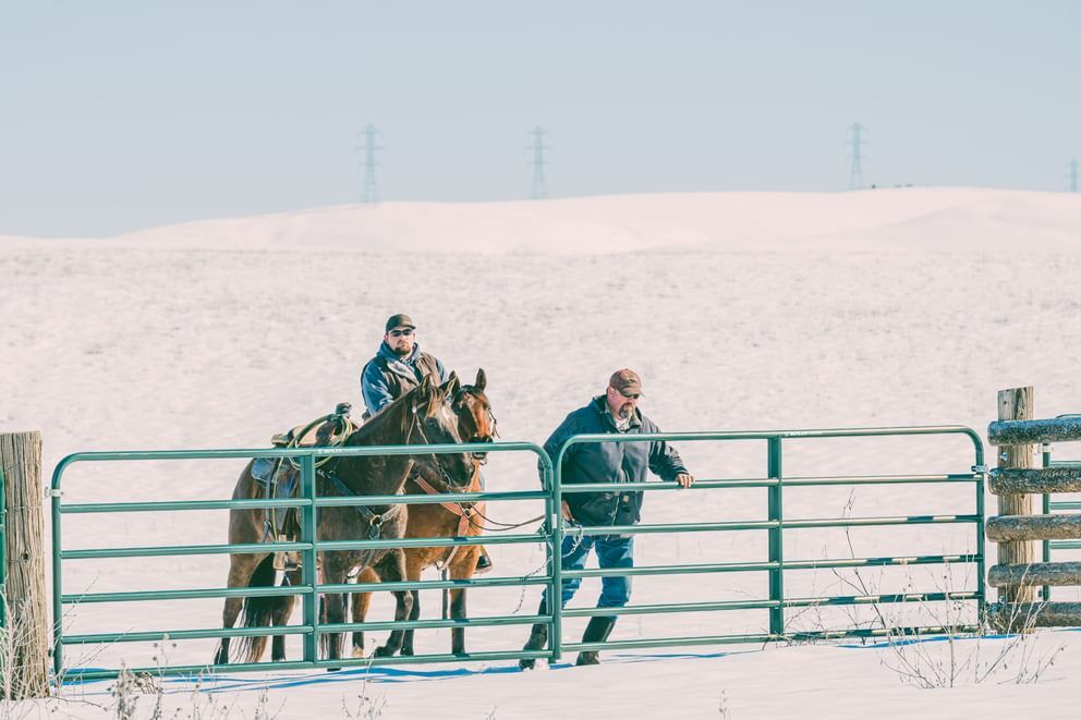 Behlen Country Green AgStar Gate, 4-Ft x 50-In