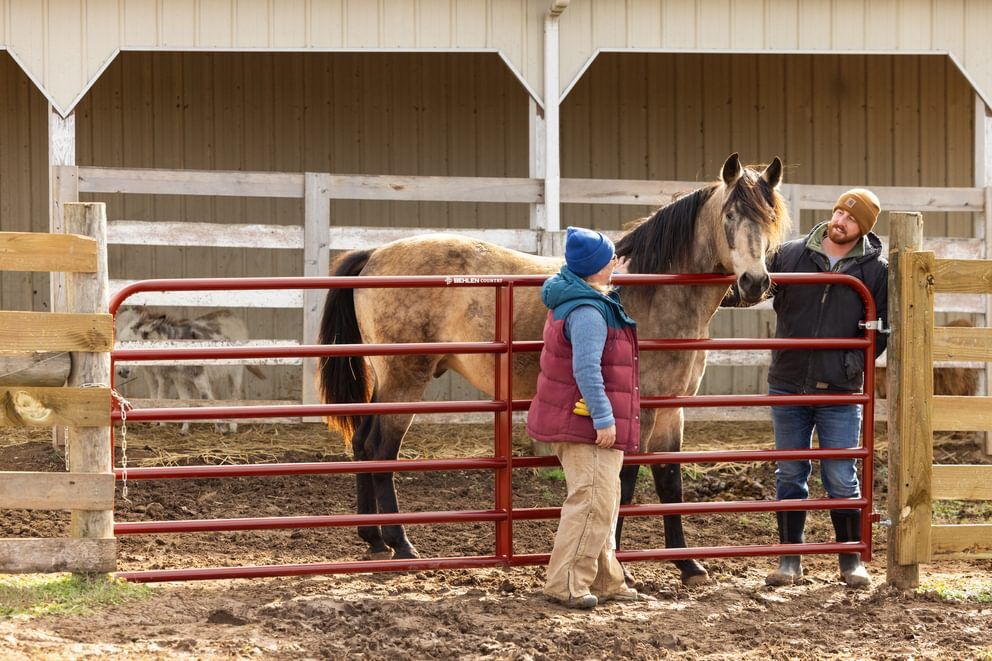 Behlen Country Green AgStar Gate, 4-Ft x 50-In