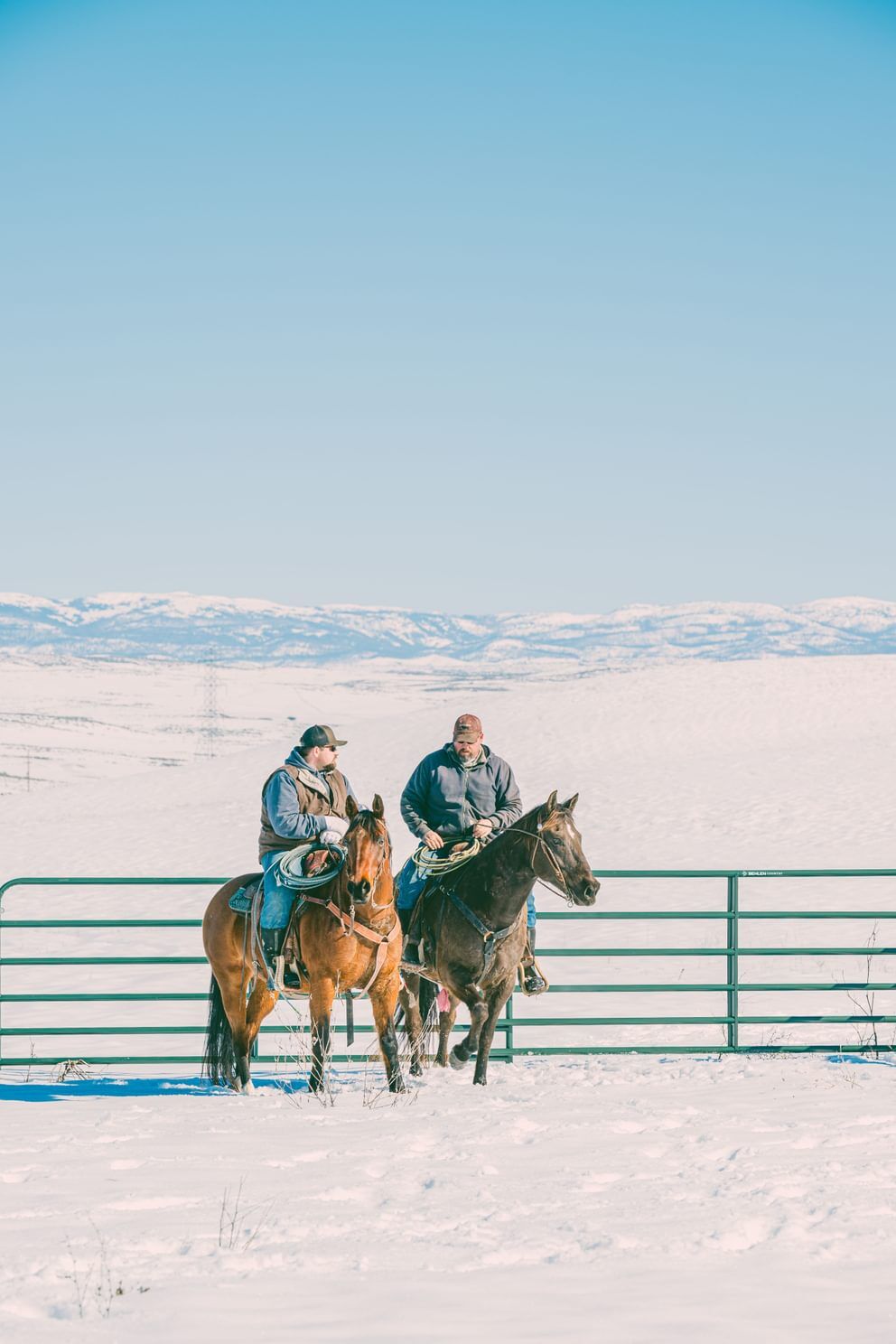 Behlen Country Green AgStar Gate, 10-Ft x 50-In