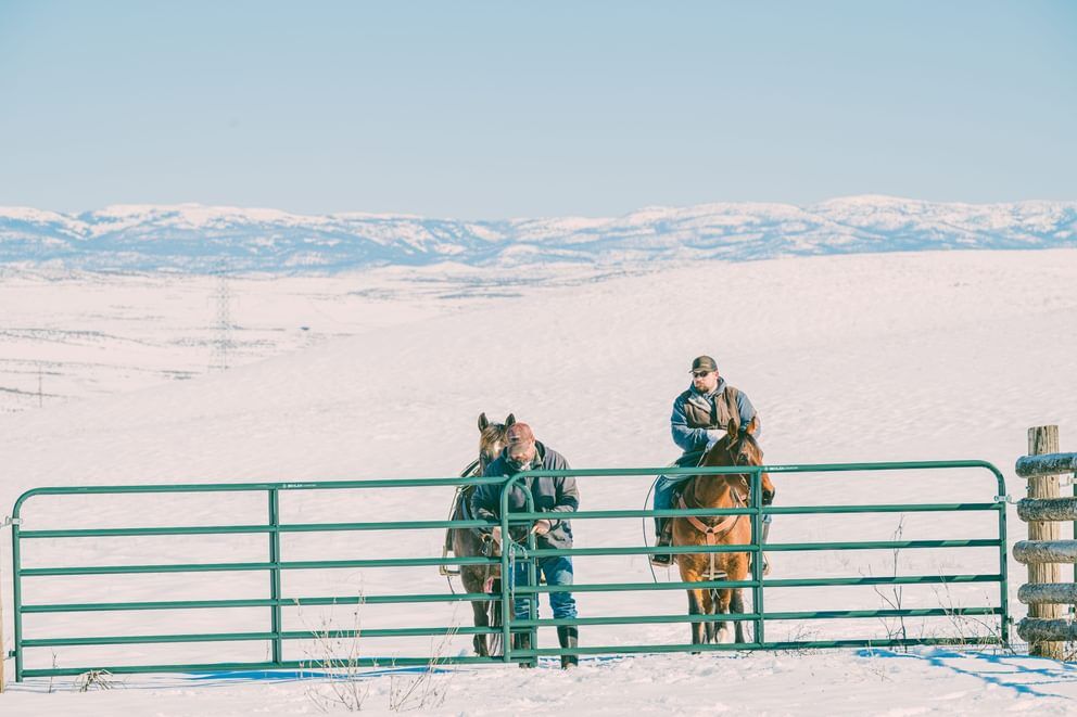 Behlen Country Green AgStar Gate, 12-Ft x 50-In