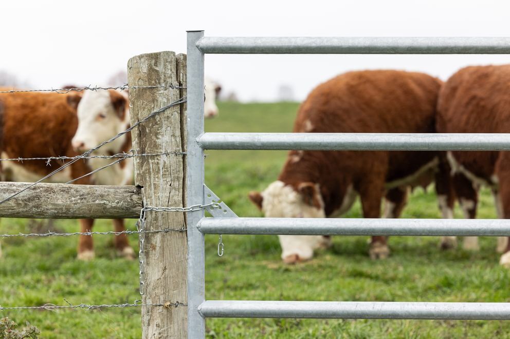 Behlen Country Green AgStar Gate, 14-Ft x 50-In