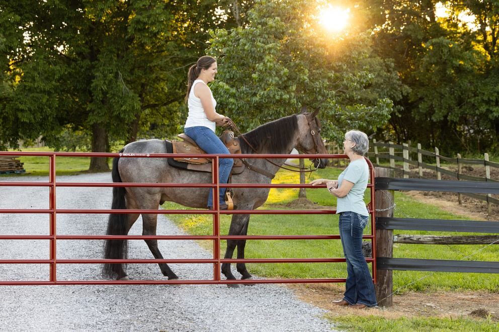Behlen Country Gray The Heritage Round Corner Gate, 16-Ft x 50-In