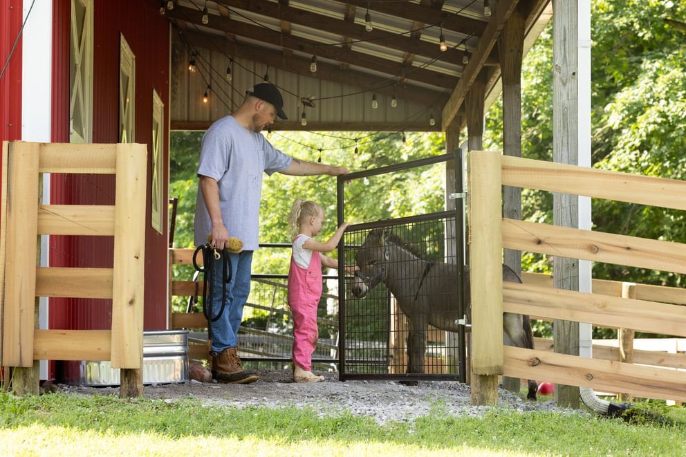 Behlen Country Green Frontier Gate, 4-Ft x 50-In