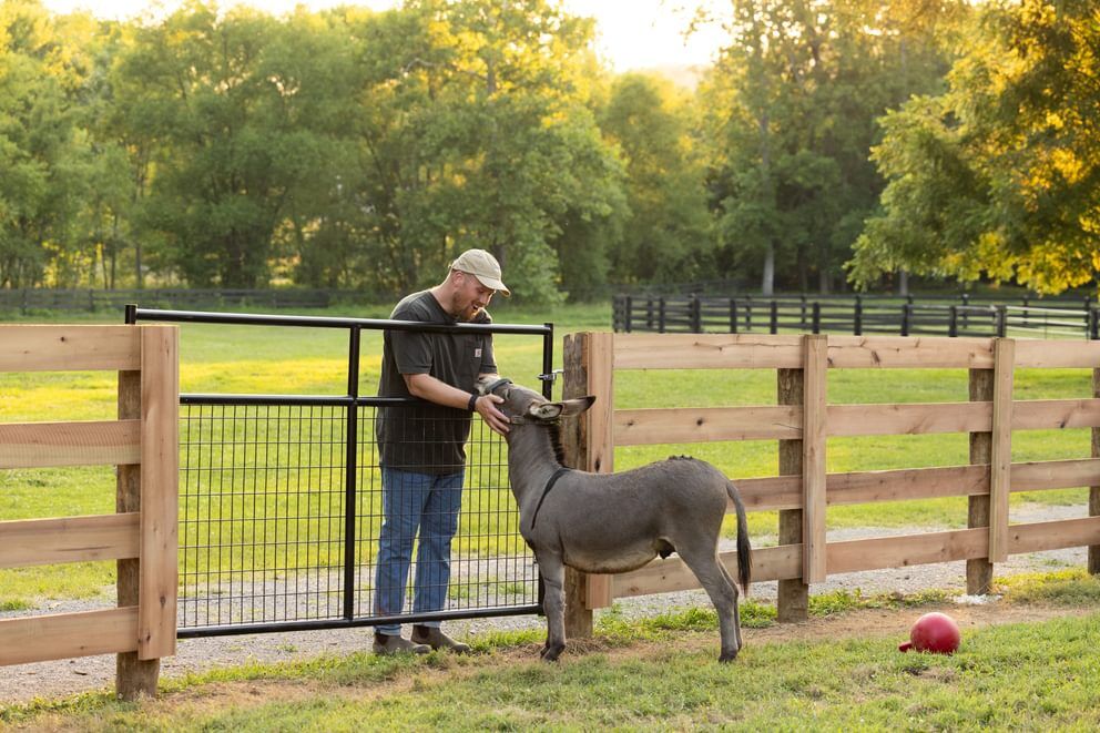 Behlen Country Green Frontier Gate, 6-Ft x 50-In