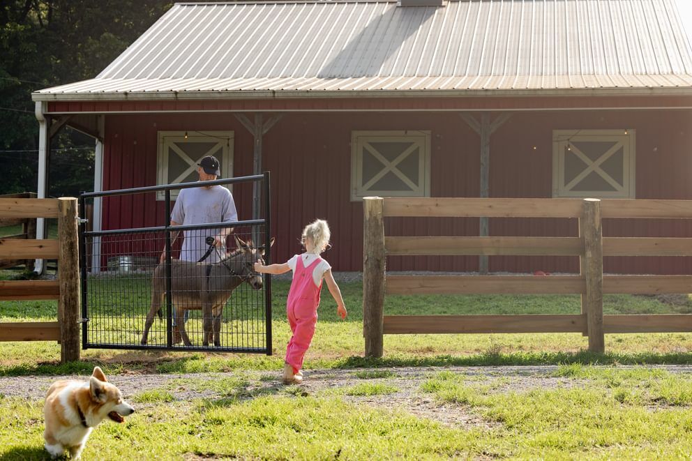 Behlen Country Gray Frontier Gate, 12-Ft x 50-In