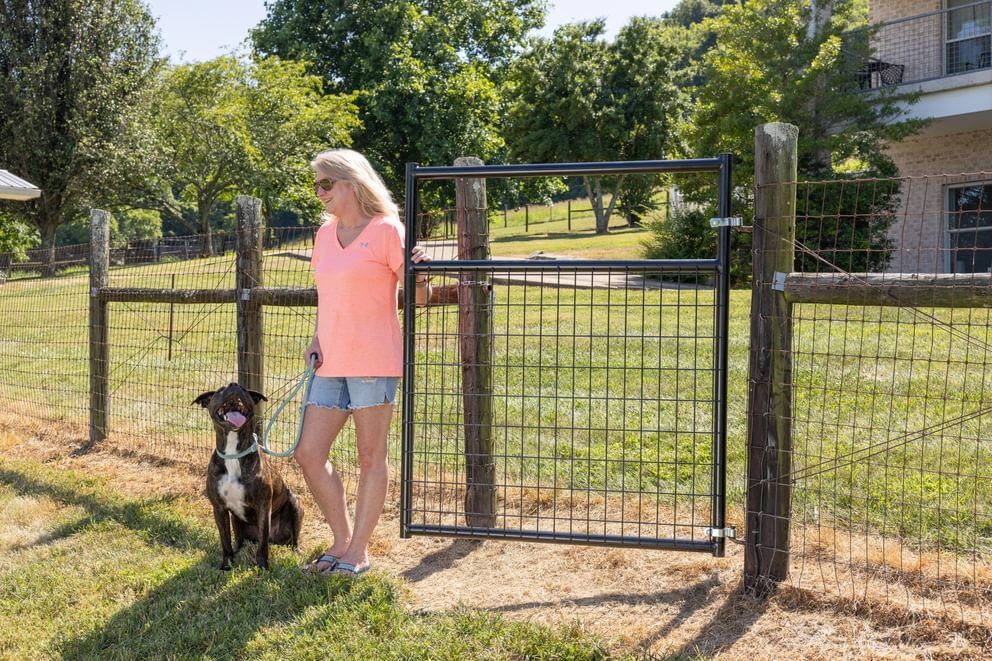 Behlen Country Galvanized Frontier Gate, 12-Ft x 50-In