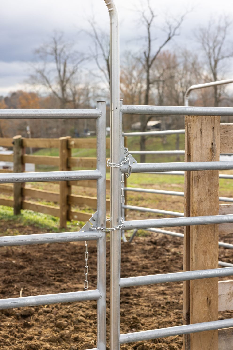 Behlen Country Gray Horse Country Chain Connection Corral Walk-Thru Panel, 6-Ft x 108-In