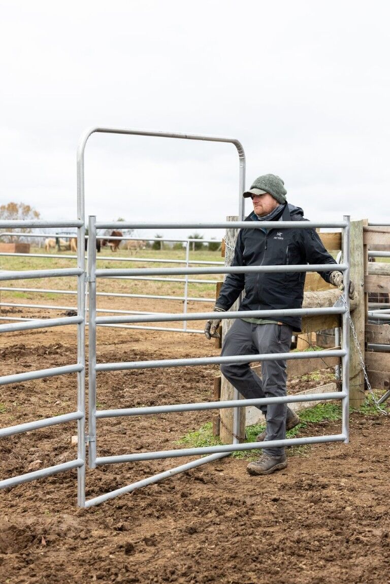 Behlen Country Gray Horse Country Chain Connection Corral Walk-Thru Panel, 6-Ft x 108-In