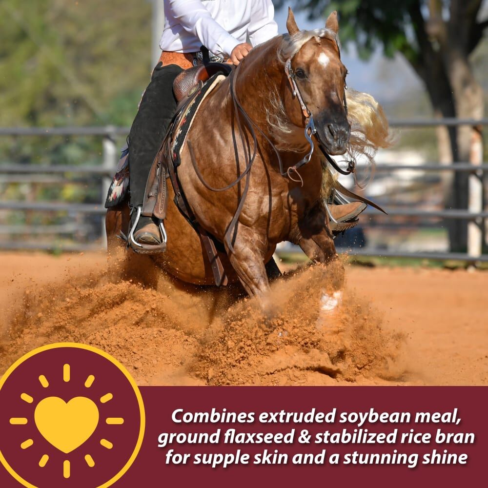 Farnam Laser Sheen Skin & Coat Supplement, 3.75-Lb