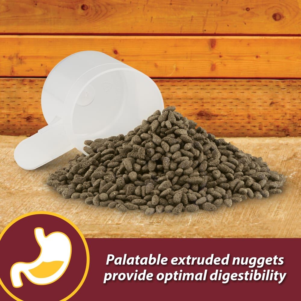 Farnam Laser Sheen Skin & Coat Supplement, 3.75-Lb