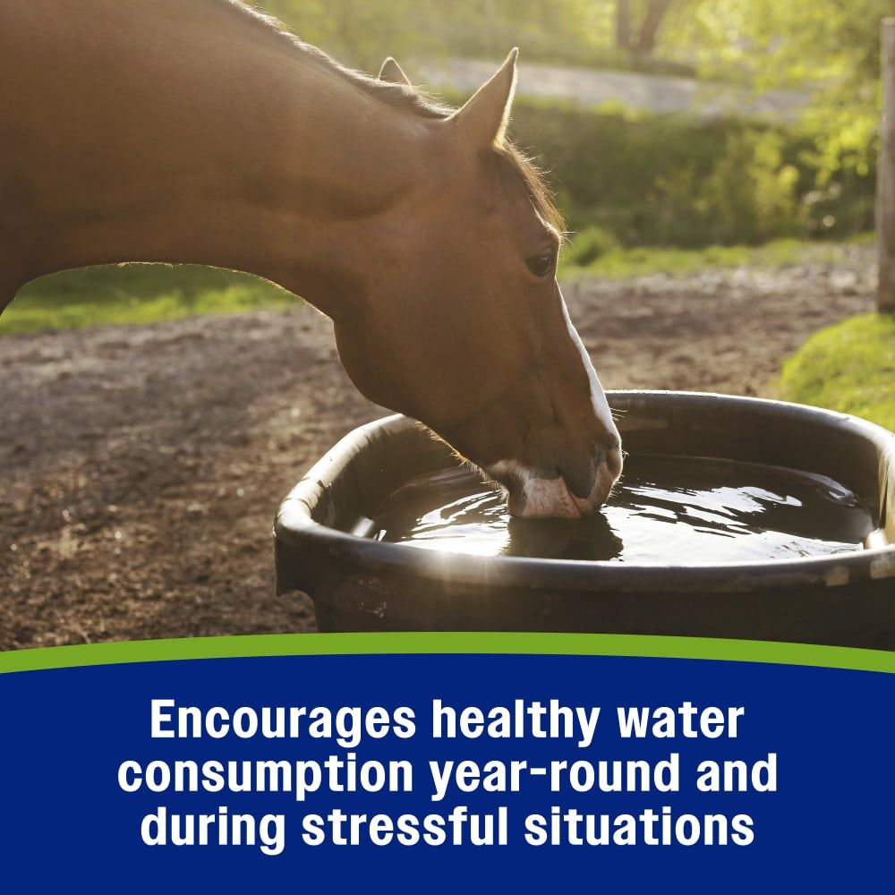 Farnam Apple Elite Electrolyte Powder, 5-Lb