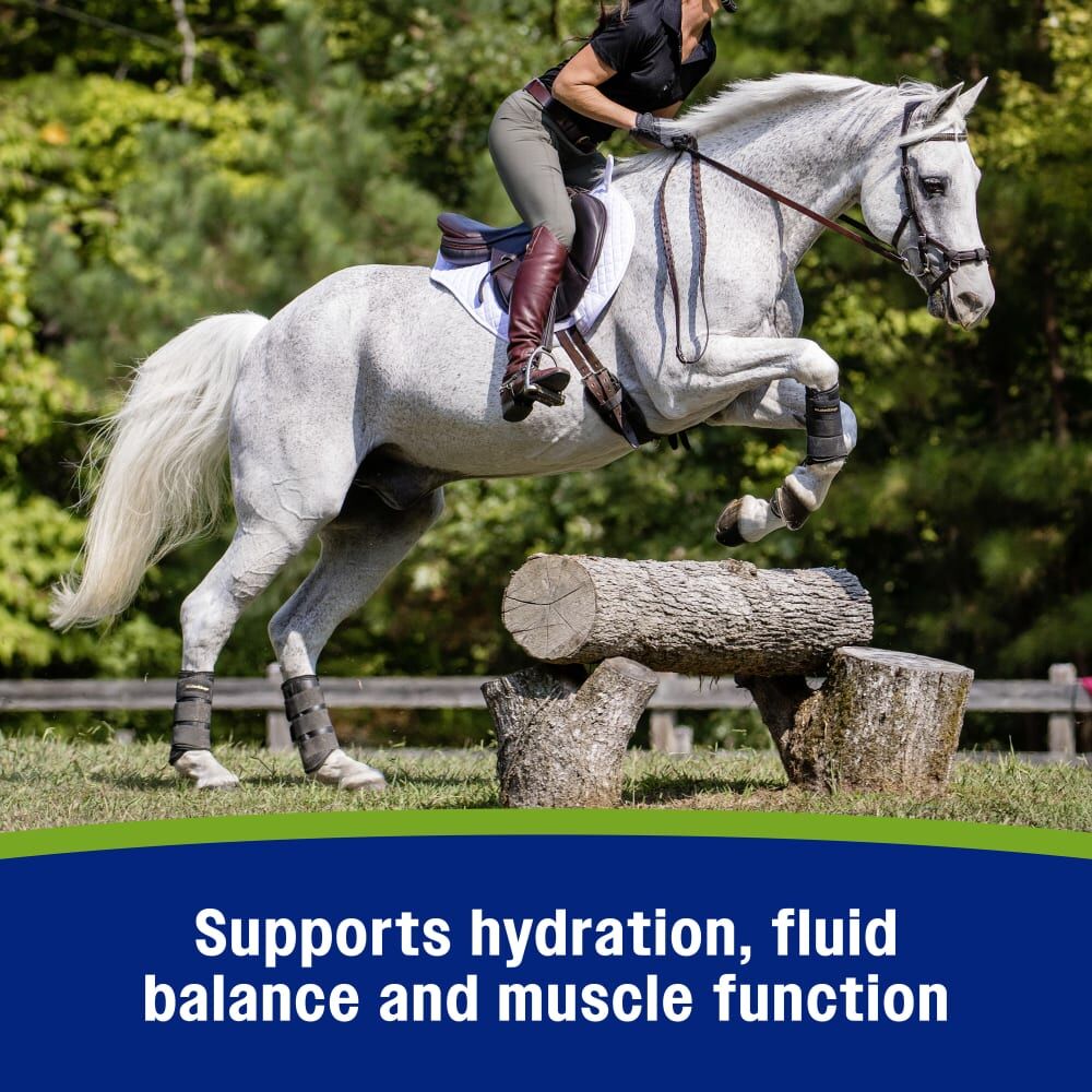 Farnam Apple Elite Electrolyte Powder, 5-Lb