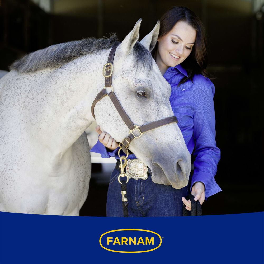 Farnam Apple Elite Electrolyte Powder, 5-Lb