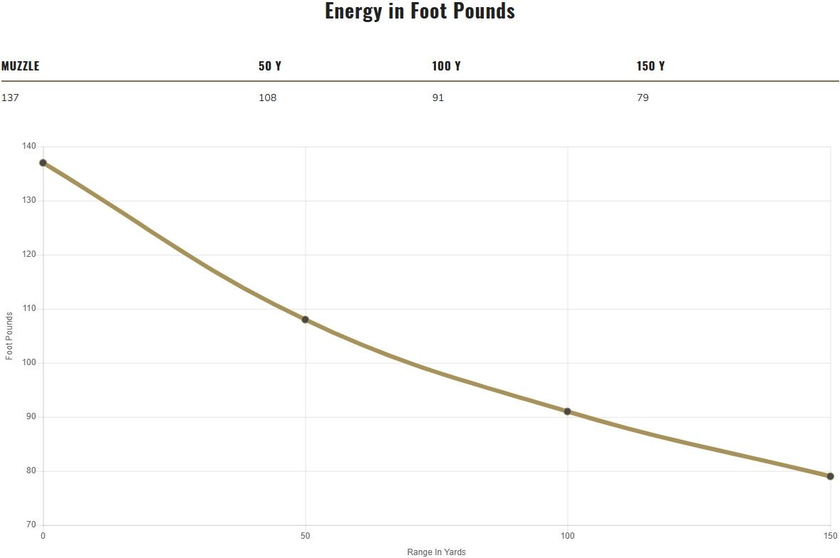 Federal Champion Training .22 LR, 40 Grain Lead Round Nose Rifle Ammo, 50-Rd