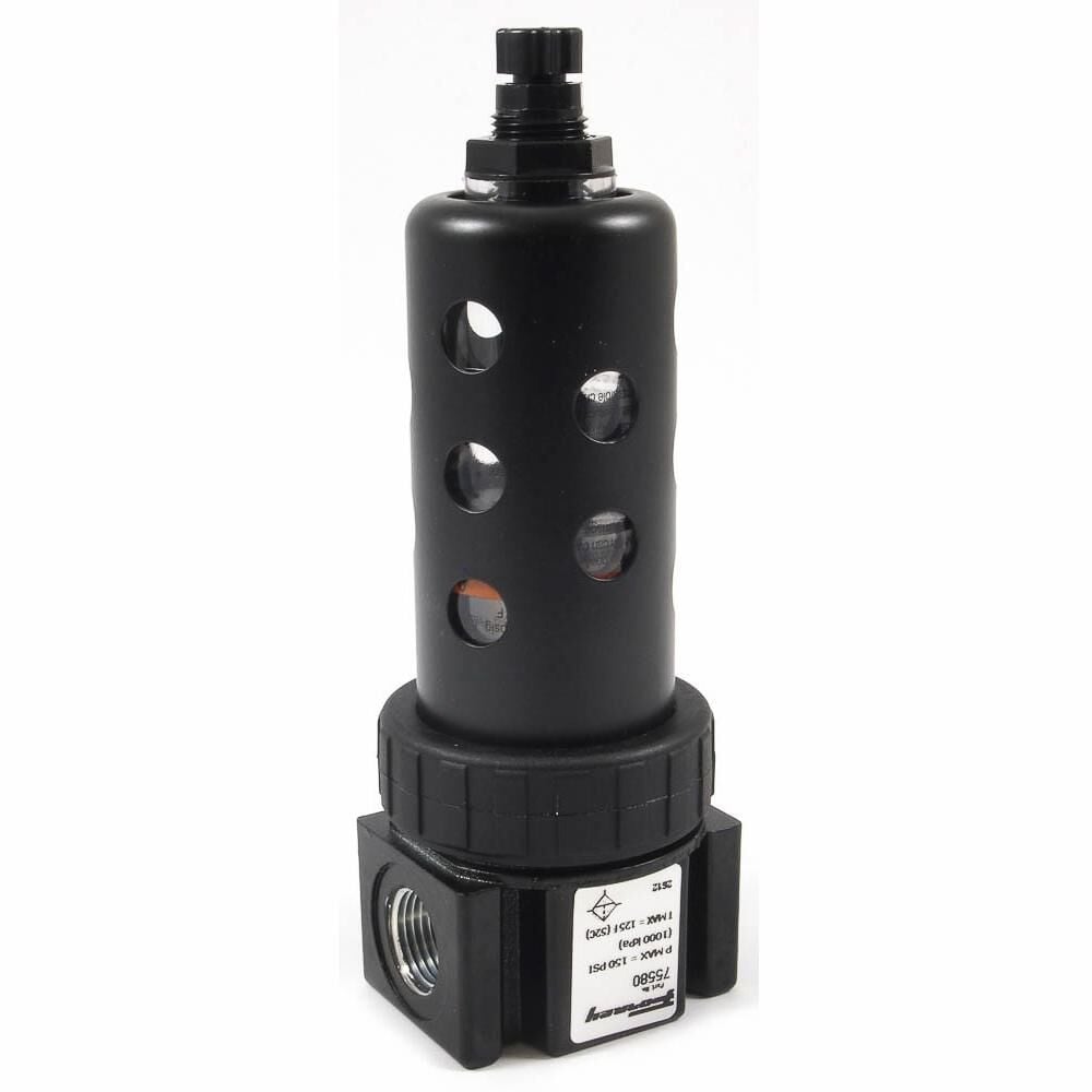 Full Size Filter, 3/8" Npt
