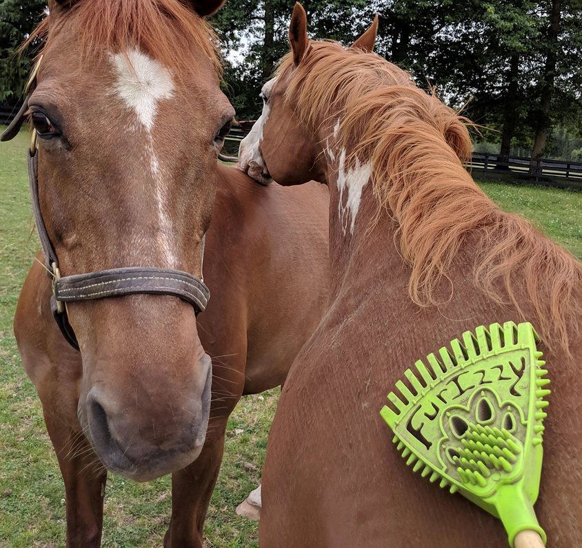Furizzy Long Handle Lime Green Furizzy Shedding Rake
