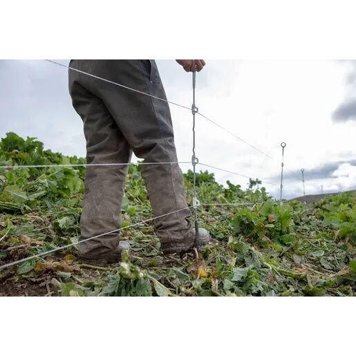 Gallagher Heavy Duty Multi-Wire Ring Top Post, 34.5-In