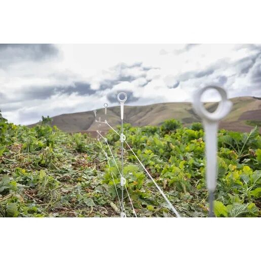 Gallagher Heavy Duty Multi-Wire Ring Top Post, 34.5-In