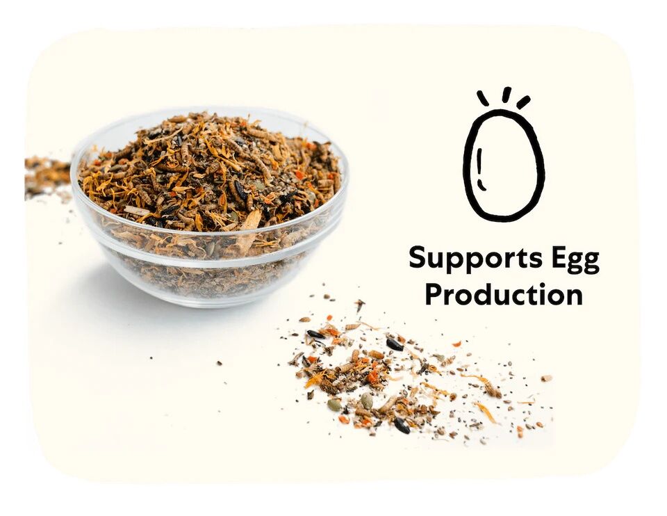 Grubbly Farms Omega Mix, 1-Lb