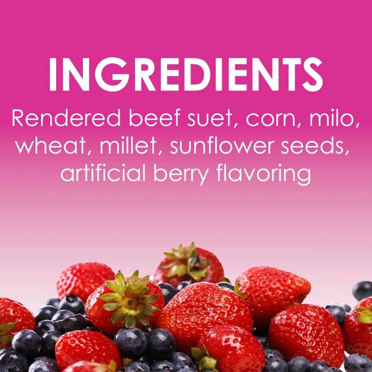 Heath Berry Blast High Energy Suet Cake, 11.25-Oz