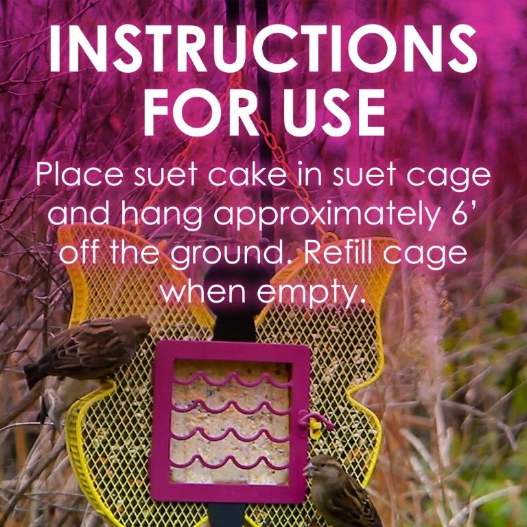 Heath Berry Blast High Energy Suet Cake, 11.25-Oz