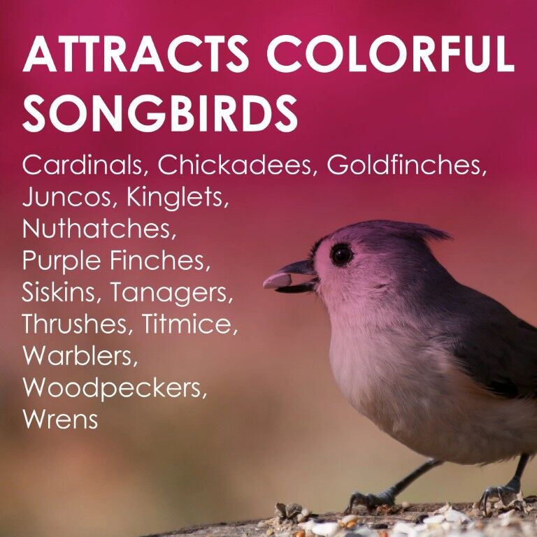 Heath Berry Blast High Energy Suet Cake, 11.25-Oz