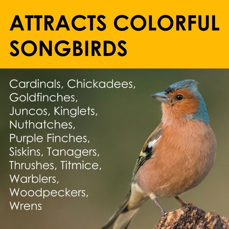 Heath Bird's Blend High Energy Suet Cake, 11.25-Oz