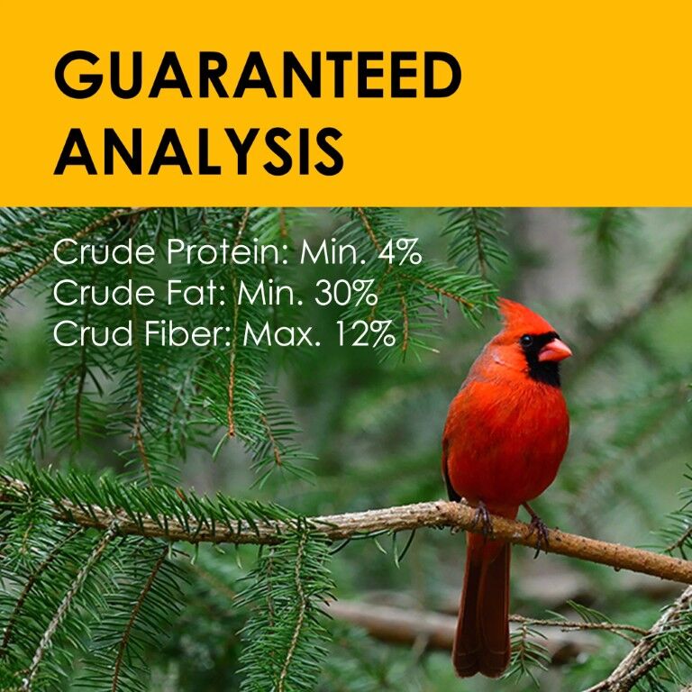 Heath Bird's Blend High Energy Suet Cake, 11.25-Oz