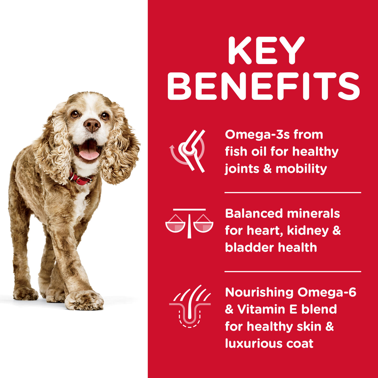 Hill's Science Diet Small Paws Chicken & Barley Senior Dry Dog Food, 4.5-Lb Bag 