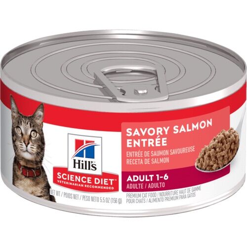 5.5oz Salmon Feline Adult Can Wet Cat Food