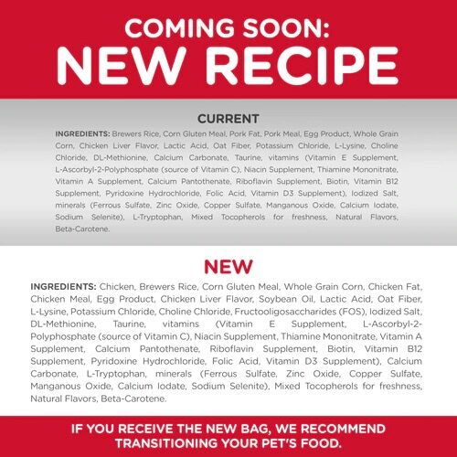 Hill's® Science Diet® Adult Sensitive Stomach & Skin Cat Food, 15.5-Lb