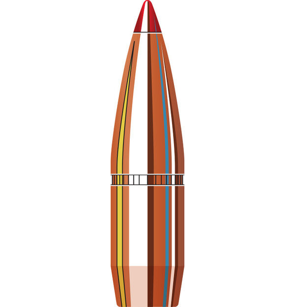 30 Caliber 0.308 165 grain SST®