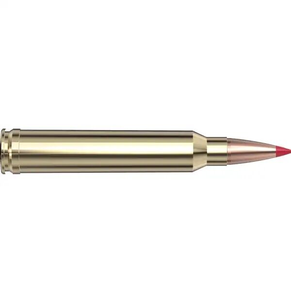 Hornady Precision Hunter .300 Win Mag, 200 Grain ELD-X Rifle Ammo, 20-Rd